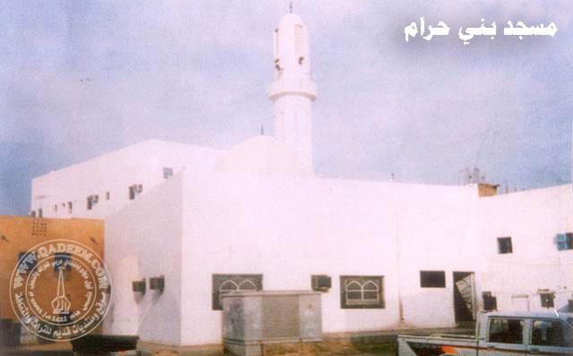 10088alsh3er.jpg