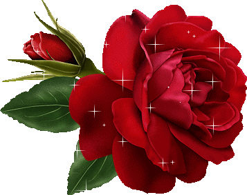 ������� 10300alsh3er.jpg