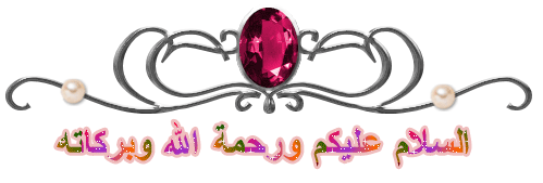11063alsh3er.gif