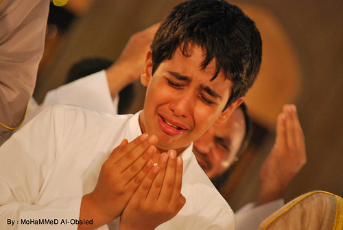 ��������� 11399alsh3er.jpg