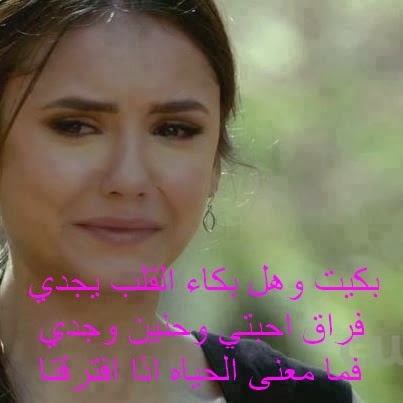 ��������� 11403alsh3er.jpg