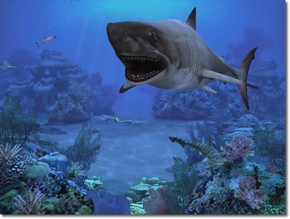 �������� Sharks ������� 1422alsh3er.jpg