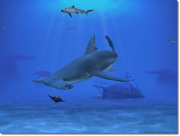 �������� Sharks ������� 1423alsh3er.jpg
