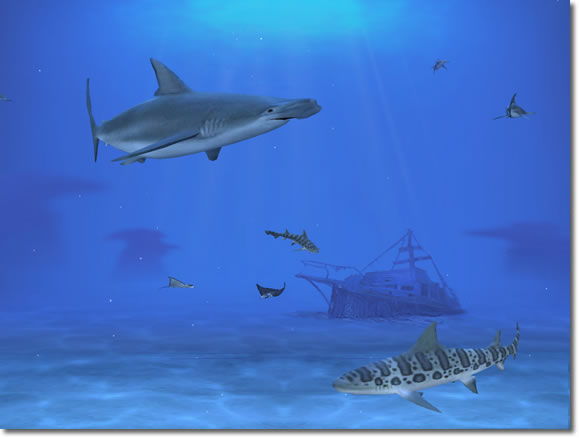 �������� Sharks ������� 1424alsh3er.jpg