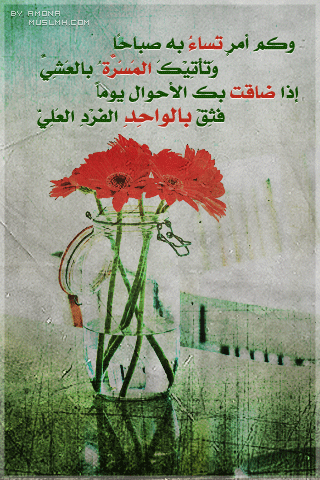 14435alsh3er.png