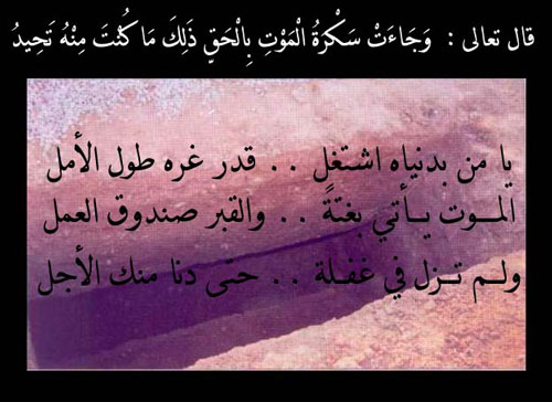 �������.... 14490alsh3er.jpg