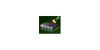 Memory Cleaner 15219alsh3er.png