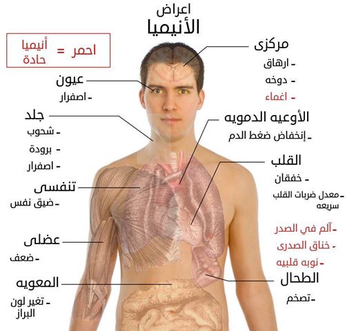 16205alsh3er.jpg
