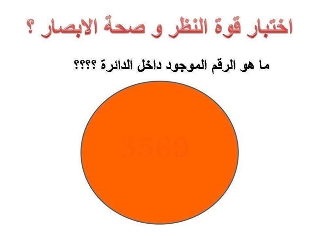 16213alsh3er.jpg
