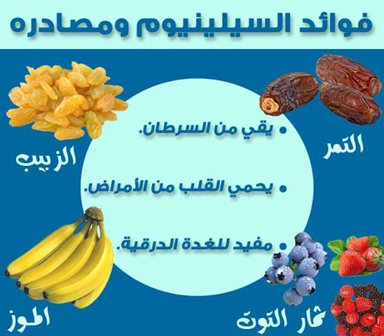 16220alsh3er.jpg