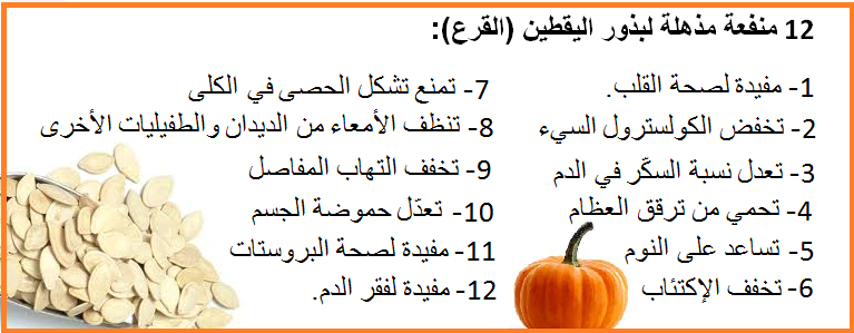 16222alsh3er.jpg