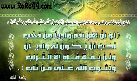 ������� 1717alsh3er.jpg