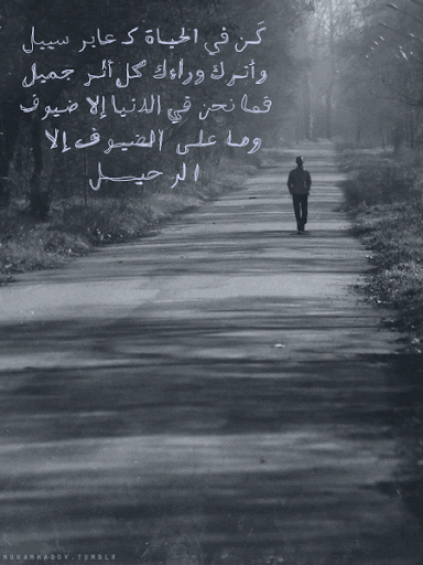 17670alsh3er.gif