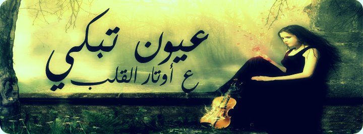 18370alsh3er.gif