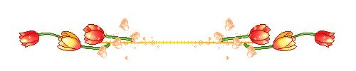 20672alsh3er.gif