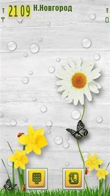 Spring Time 21101alsh3er.jpg