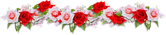 Virtual Studio 2462alsh3er.png