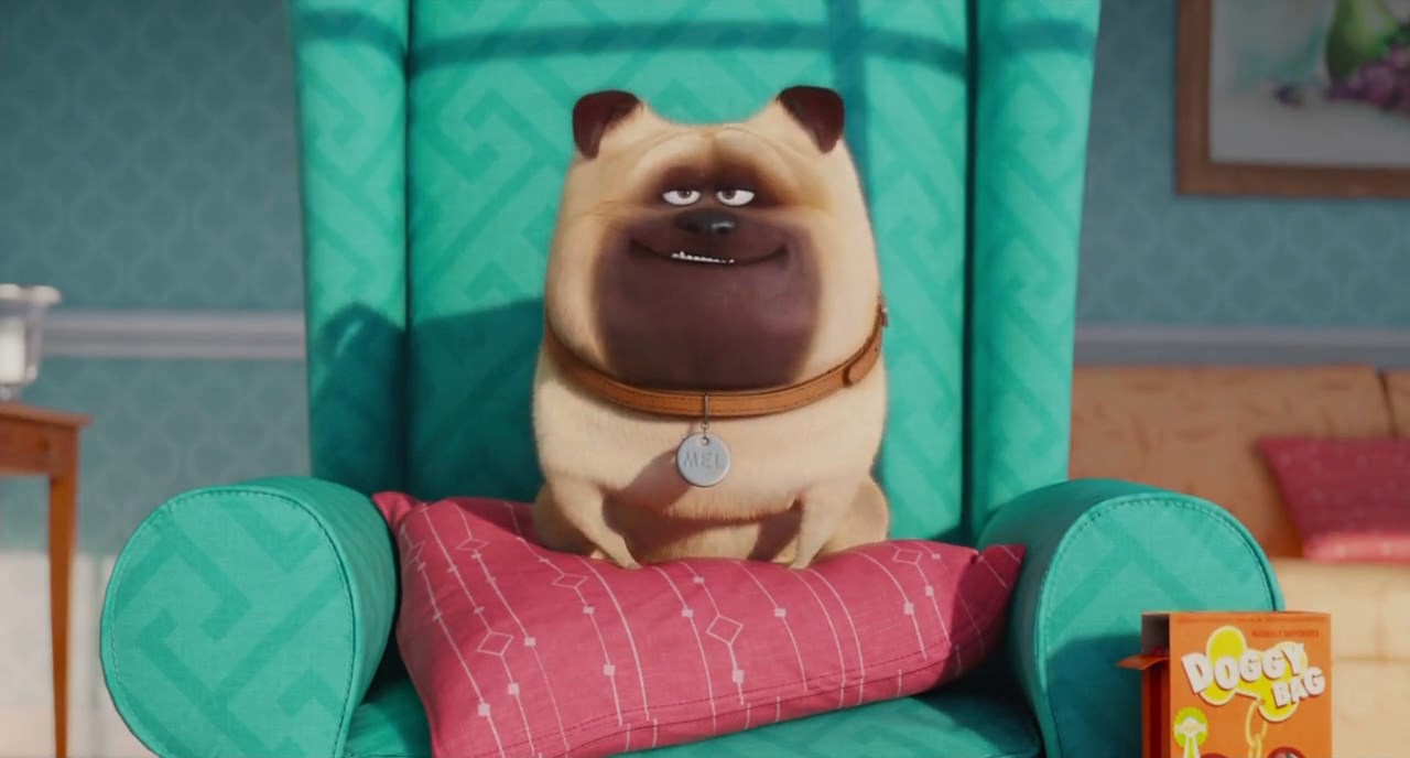��������� ���������� Secret Life Pets 28562alsh3er.jpg