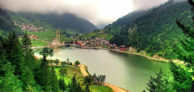 ������� 31023alsh3er.jpg