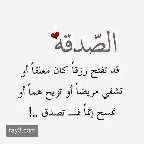 33847alsh3er.jpg