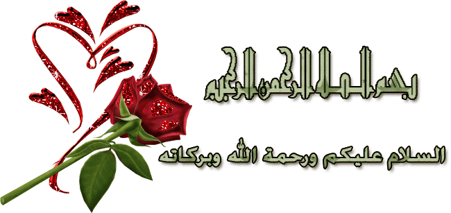 4013alsh3er.gif