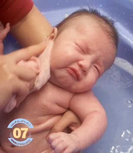 "�� �����" 4196alsh3er.jpg