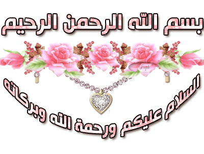 4211alsh3er.gif