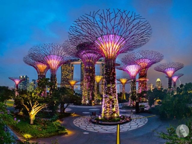 �������� 5900alsh3er.jpg