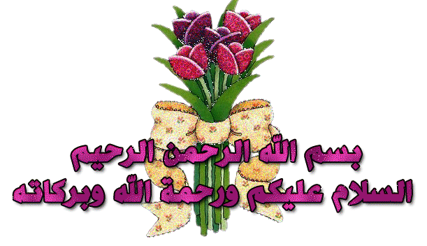 �������� 6088alsh3er.jpg