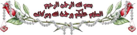 6411alsh3er.gif