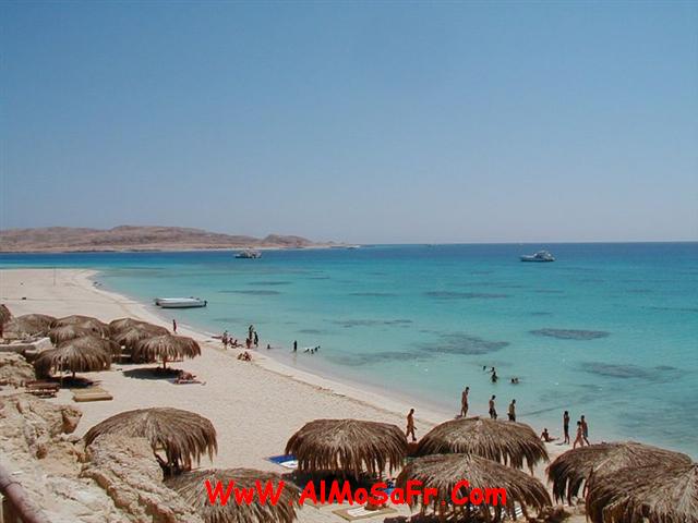 ������� 7076alsh3er.jpg