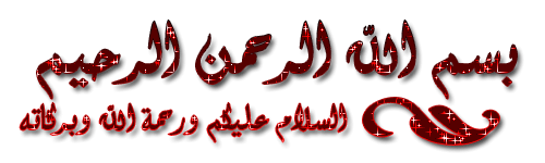 WinAce 2.69 7331alsh3er.gif