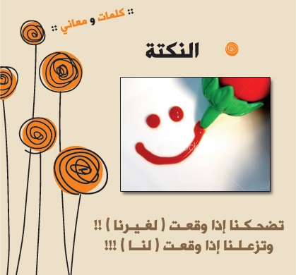 8240alsh3er.jpg