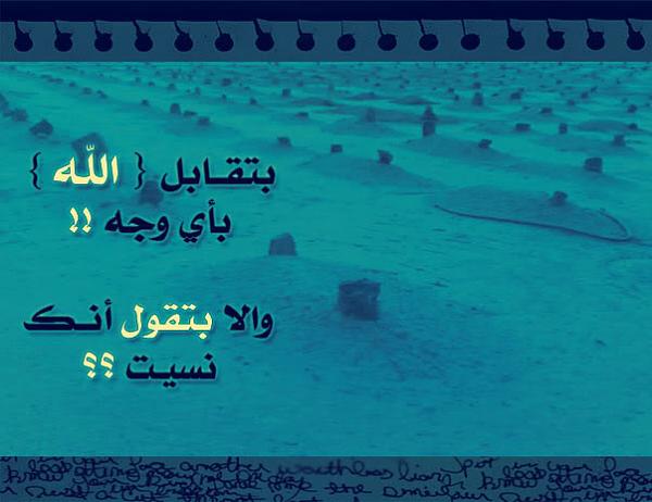 8333alsh3er.jpg