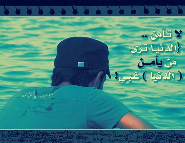 8335alsh3er.jpg