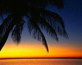 �������.. 8941alsh3er.jpg