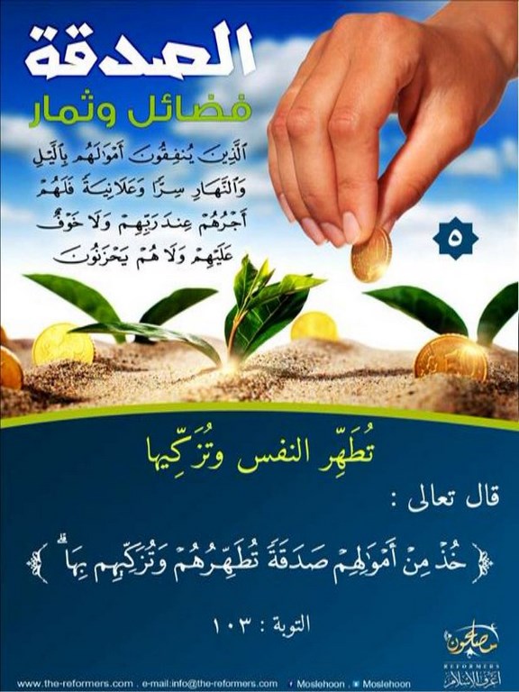 34957alsh3er.jpg