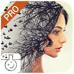 Pho.to Photo Editor 3.1.3 Android 35216alsh3er.jpg