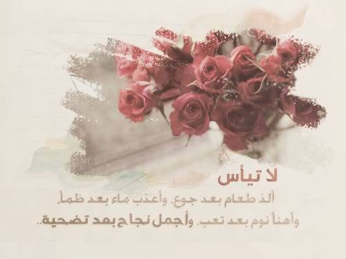 35349alsh3er.jpg