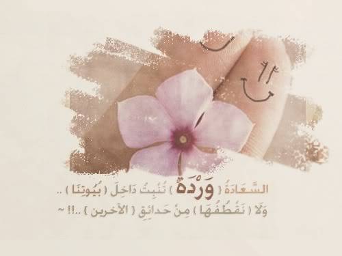 35357alsh3er.jpg