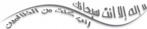 ������� Xtreme Download Manager 7.2.8 35917alsh3er.png