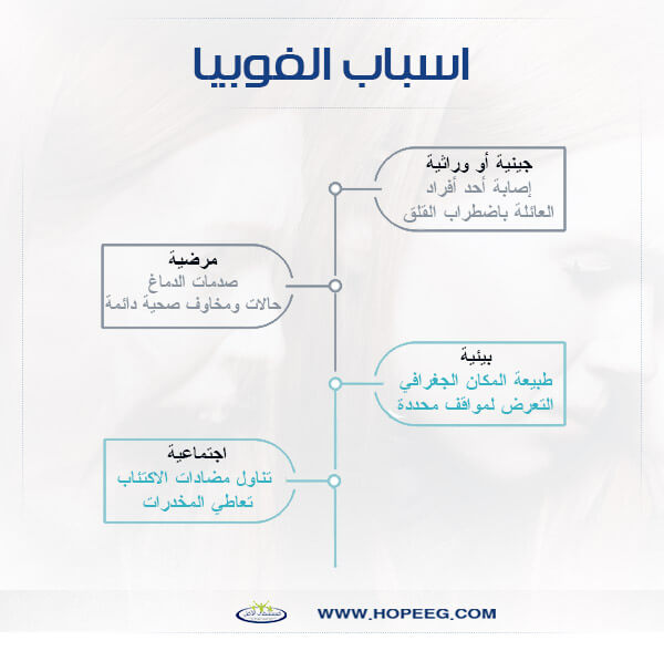 ������� 37664alsh3er.jpg